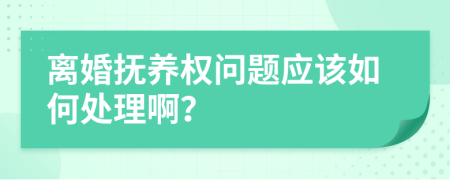 离婚抚养权问题应该如何处理啊？