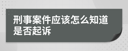 刑事案件应该怎么知道是否起诉