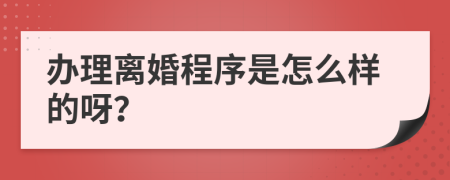 办理离婚程序是怎么样的呀？