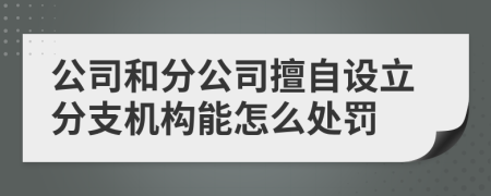 公司和分公司擅自设立分支机构能怎么处罚