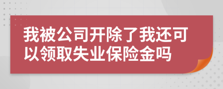 我被公司开除了我还可以领取失业保险金吗