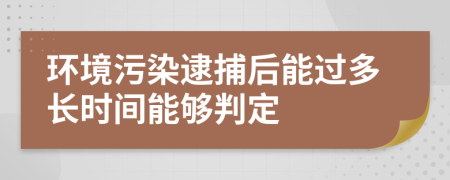 环境污染逮捕后能过多长时间能够判定