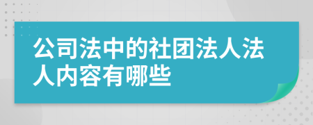 公司法中的社团法人法人内容有哪些