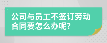 公司与员工不签订劳动合同要怎么办呢？