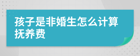 孩子是非婚生怎么计算抚养费
