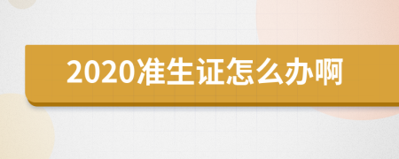 2020准生证怎么办啊