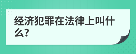 经济犯罪在法律上叫什么？