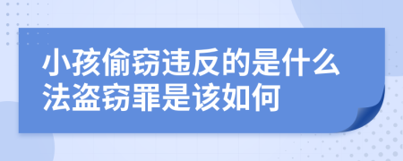 小孩偷窃违反的是什么法盗窃罪是该如何