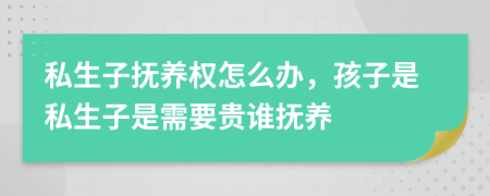 私生子抚养权怎么办，孩子是私生子是需要贵谁抚养