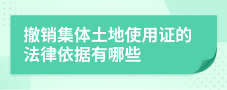 撤销集体土地使用证的法律依据有哪些