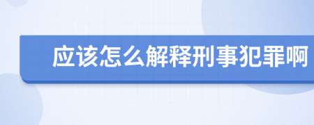 应该怎么解释刑事犯罪啊