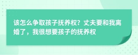 该怎么争取孩子抚养权？丈夫要和我离婚了，我很想要孩子的抚养权