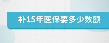 补15年医保要多少数额