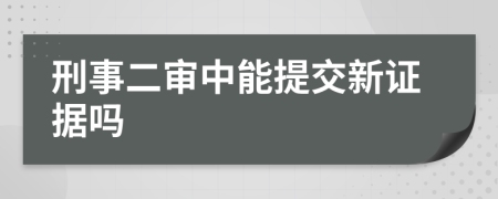 刑事二审中能提交新证据吗