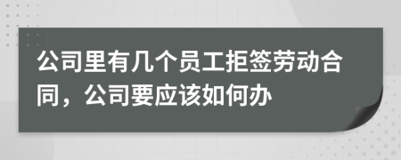 公司里有几个员工拒签劳动合同，公司要应该如何办