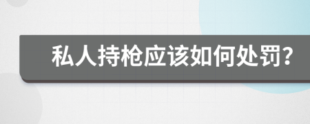 私人持枪应该如何处罚？