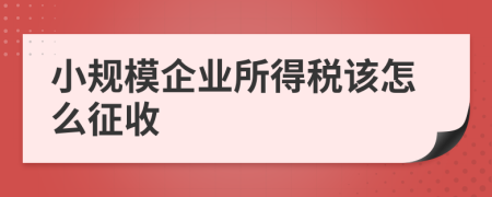 小规模企业所得税该怎么征收