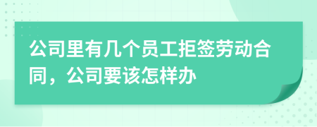 公司里有几个员工拒签劳动合同，公司要该怎样办