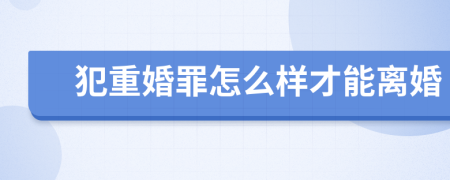 犯重婚罪怎么样才能离婚