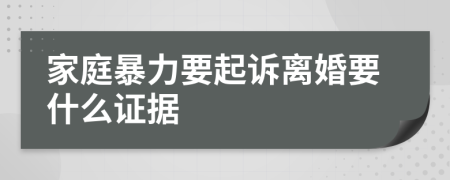 家庭暴力要起诉离婚要什么证据