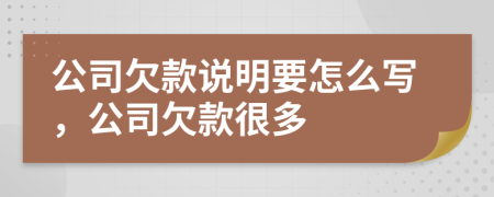 公司欠款说明要怎么写，公司欠款很多