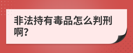非法持有毒品怎么判刑啊？