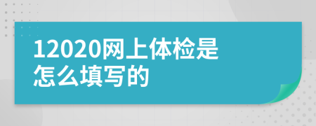 12020网上体检是怎么填写的