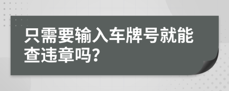 只需要输入车牌号就能查违章吗？