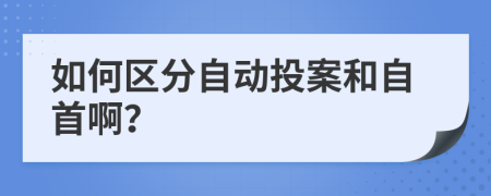 如何区分自动投案和自首啊？