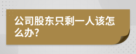 公司股东只剩一人该怎么办?