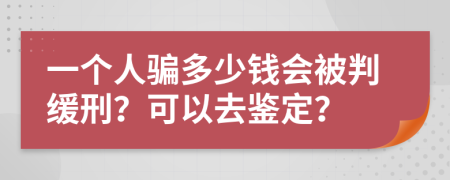 一个人骗多少钱会被判缓刑？可以去鉴定？