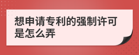 想申请专利的强制许可是怎么弄