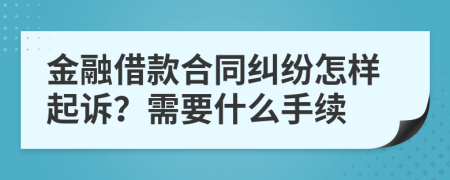 金融借款合同纠纷怎样起诉？需要什么手续