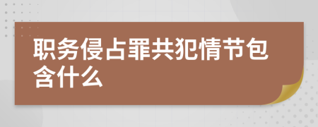 职务侵占罪共犯情节包含什么
