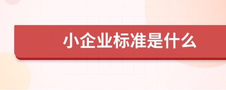 小企业标准是什么