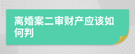 离婚案二审财产应该如何判