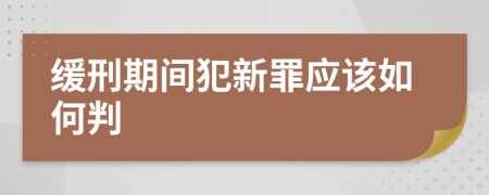 缓刑期间犯新罪应该如何判