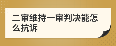 二审维持一审判决能怎么抗诉