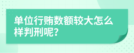 单位行贿数额较大怎么样判刑呢？