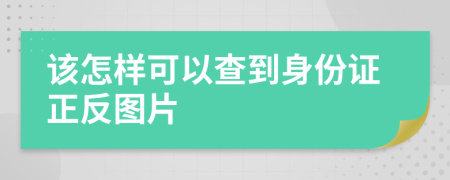 该怎样可以查到身份证正反图片