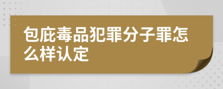 包庇毒品犯罪分子罪怎么样认定