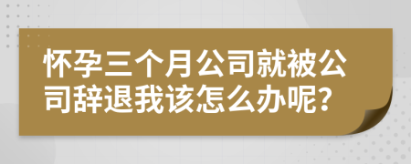 怀孕三个月公司就被公司辞退我该怎么办呢？