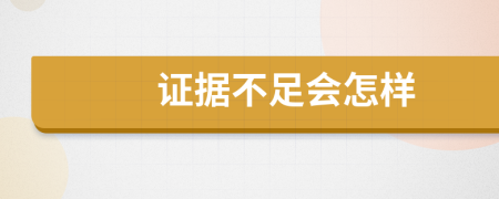 证据不足会怎样