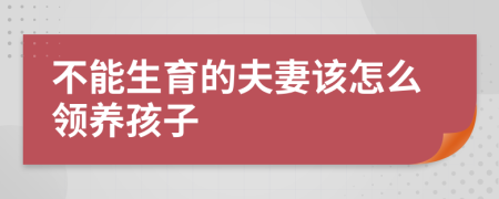 不能生育的夫妻该怎么领养孩子