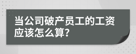 当公司破产员工的工资应该怎么算？