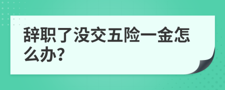 辞职了没交五险一金怎么办？