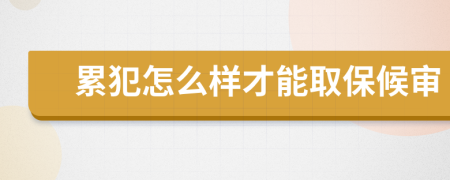 累犯怎么样才能取保候审