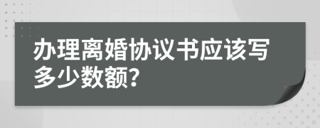 办理离婚协议书应该写多少数额？