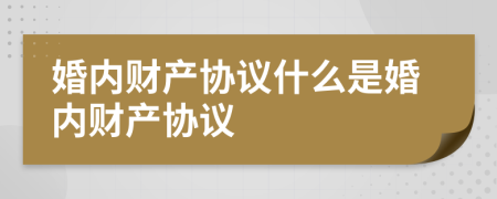 婚内财产协议什么是婚内财产协议