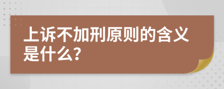 上诉不加刑原则的含义是什么？